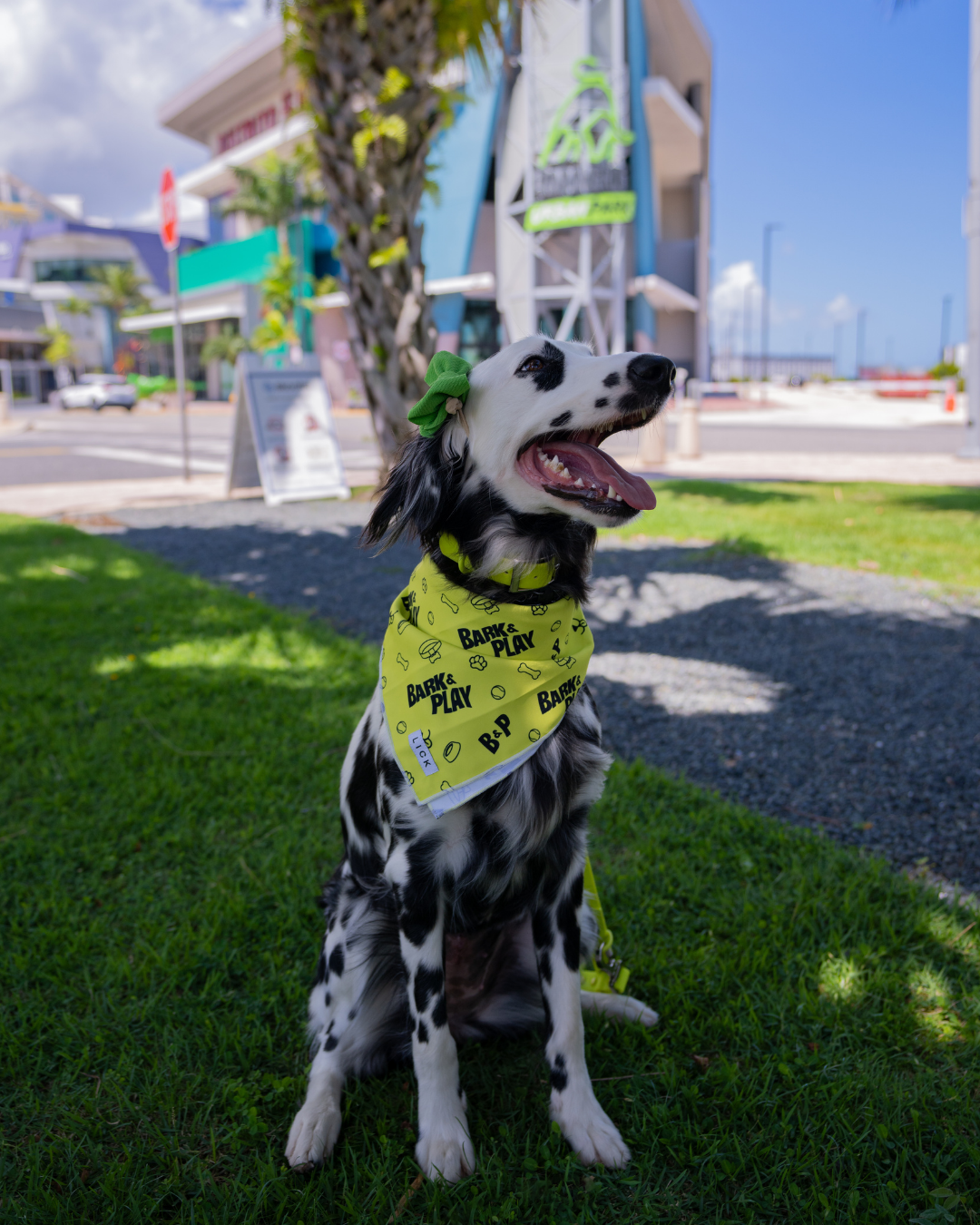 DOGGIE BANDANA