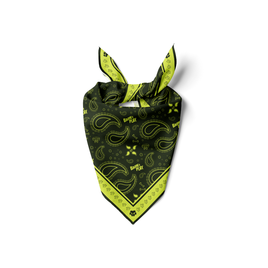 BARK & PLAY PAISLEY BANDANA