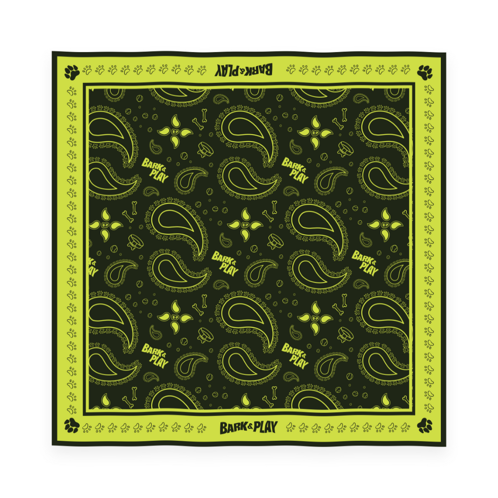 BARK & PLAY PAISLEY BANDANA