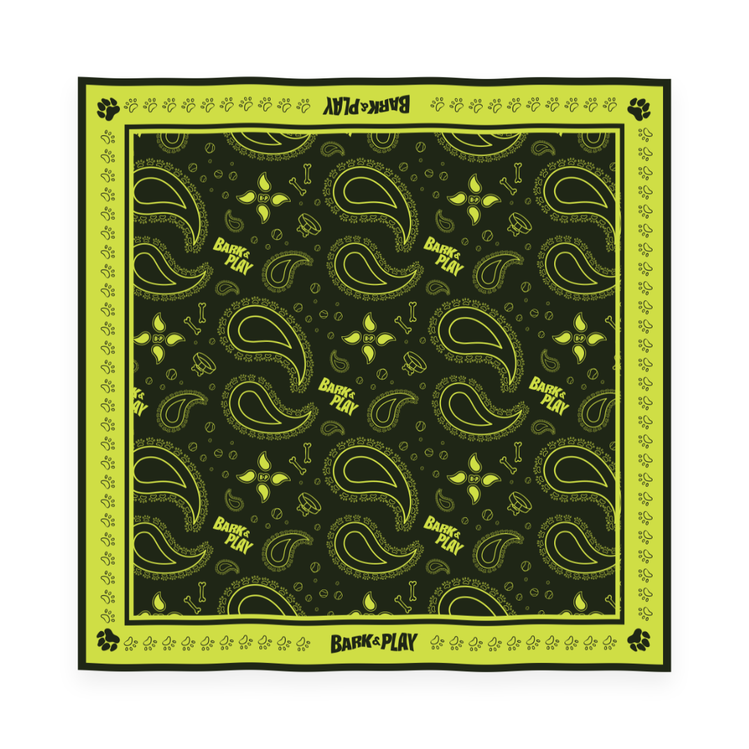 BARK & PLAY PAISLEY BANDANA