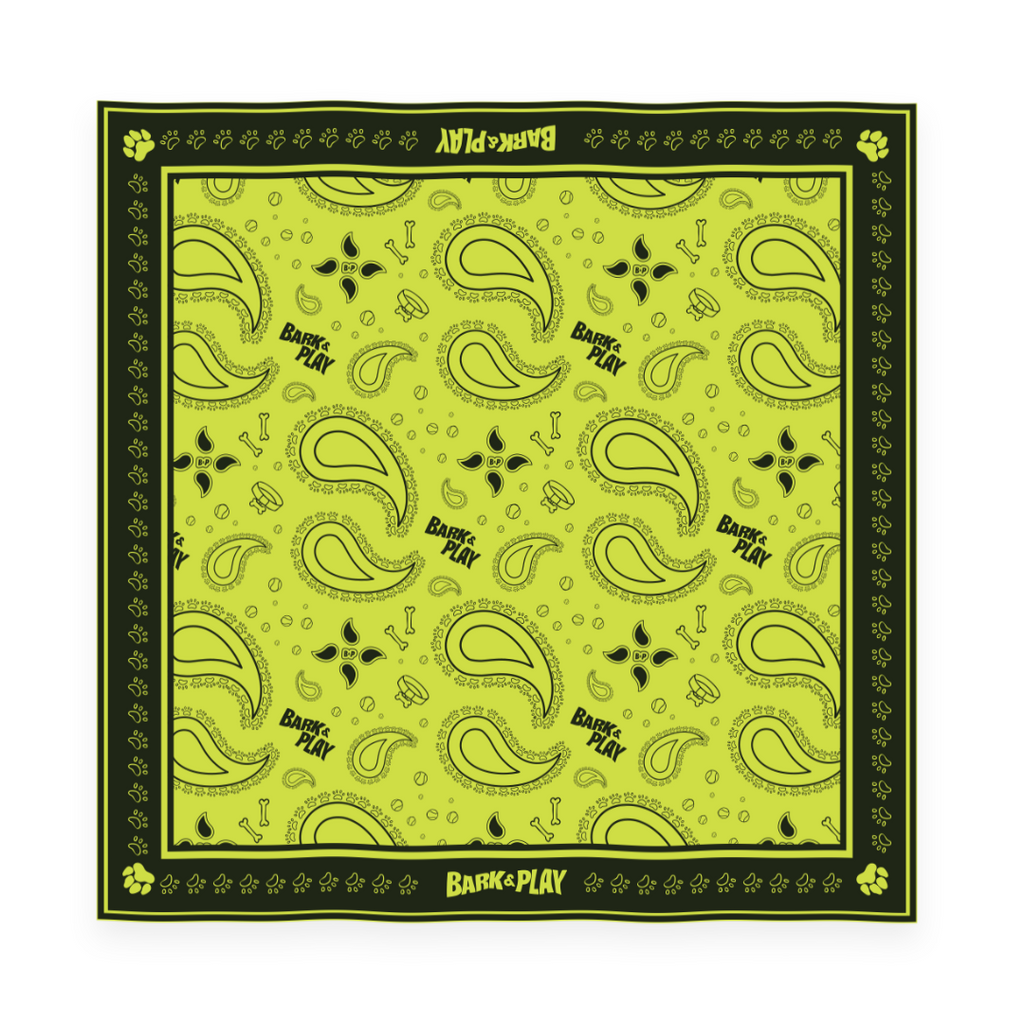 BARK & PLAY PAISLEY BANDANA