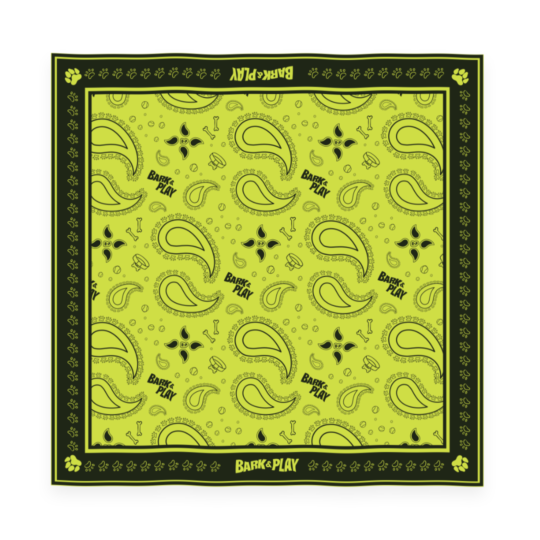 BARK & PLAY PAISLEY BANDANA
